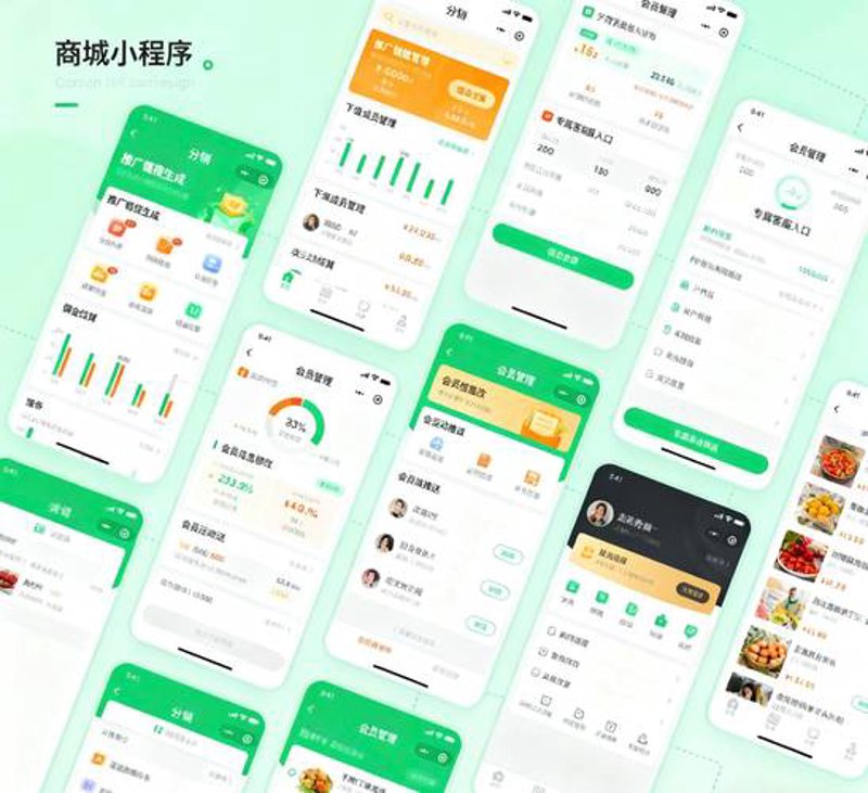 小程序开发选购指南：打造您的全能助手